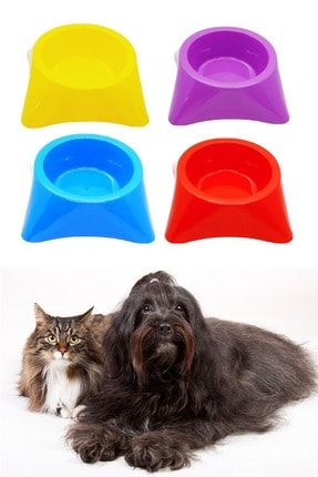 citikitty kedi tuvalet egitimi kedi tuvaleti klozet aparati fiyati yorumlari trendyol