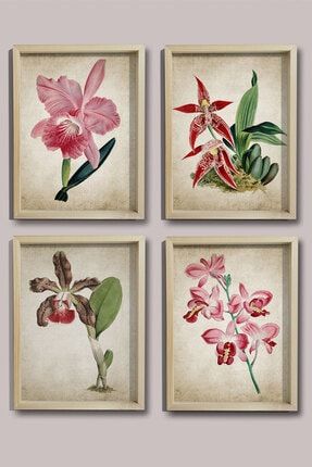 Doğal Çam Çerçeveli Duvar Tablosu Antik Orkide Duvar Sanatı 4 Lü Set BT4-419