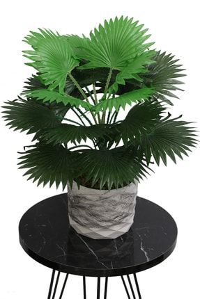 Yapay Çiçek Beton Saksıda18 Dallı Lüx Palmiye Bitkisi 45cm YPCCK-FKYT-256