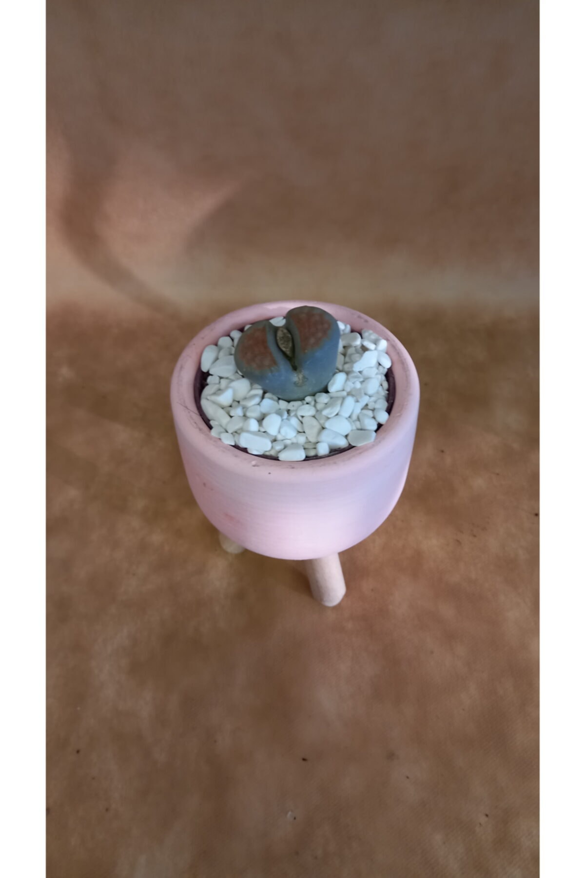 Dolamit 5 Kg 1-2 Cm Beyaz Dolomit Doğal Dekoratif Peyzaj Sukulent - Kaktüs Süs Taşı 4