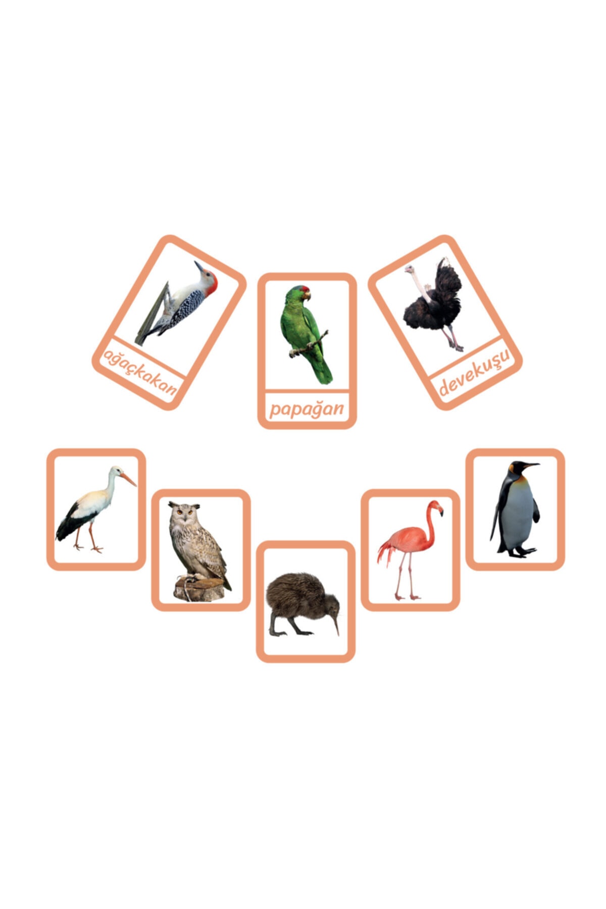 Meraklı Zebra Montessori Üç Parçalı Eşleştirme Kartları fotoğrafı 2 (önizleme)