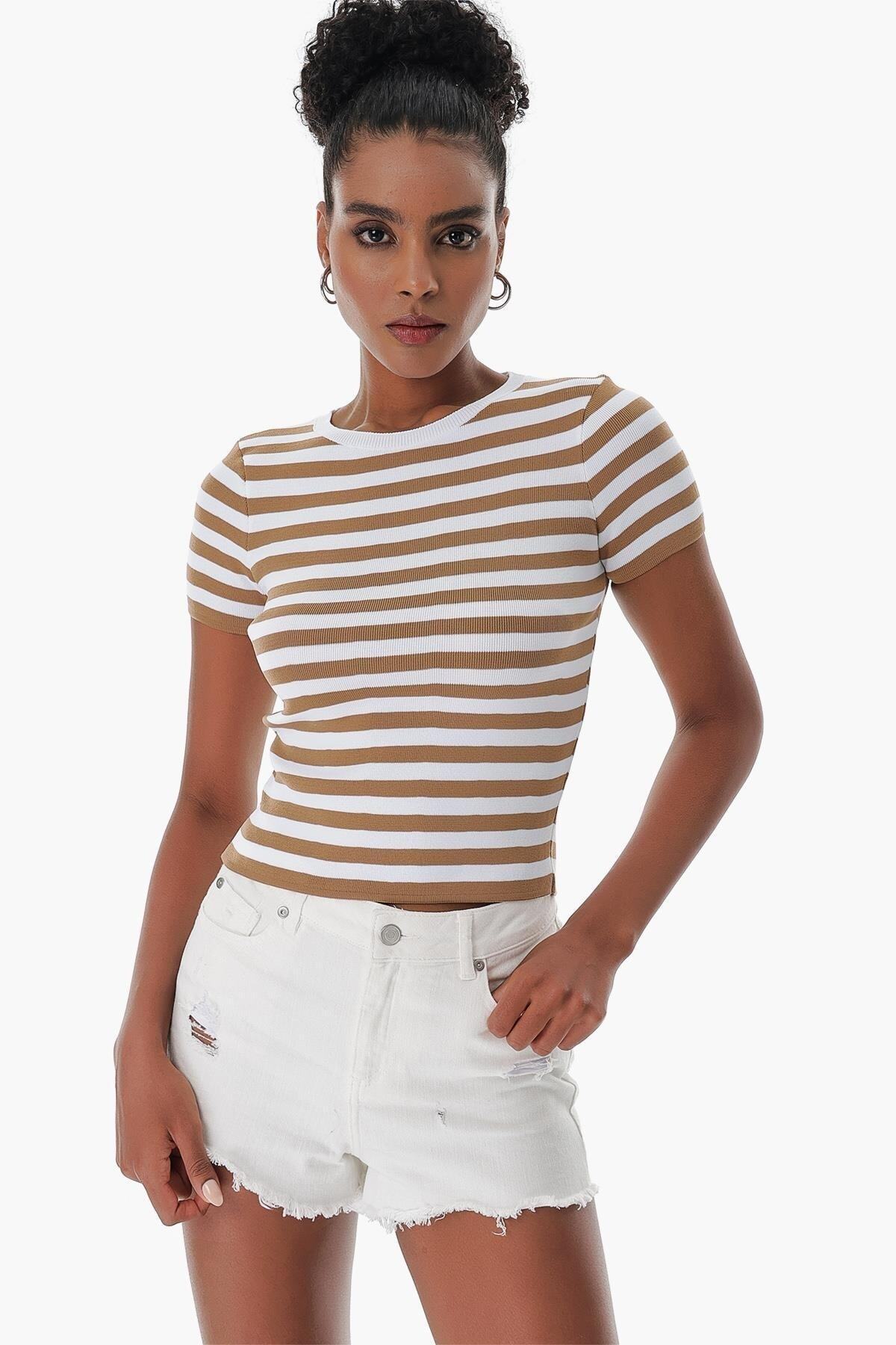 CHUBA-Women's Crew Neck Striped Short Sleeve Knitwear T-shirt Tan-white 23s1011 3