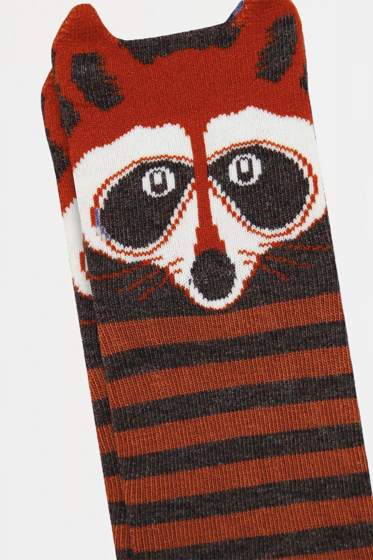 MEM SOCKS-Pack of 6 3D Rakkun Patterned Children's Socks 3