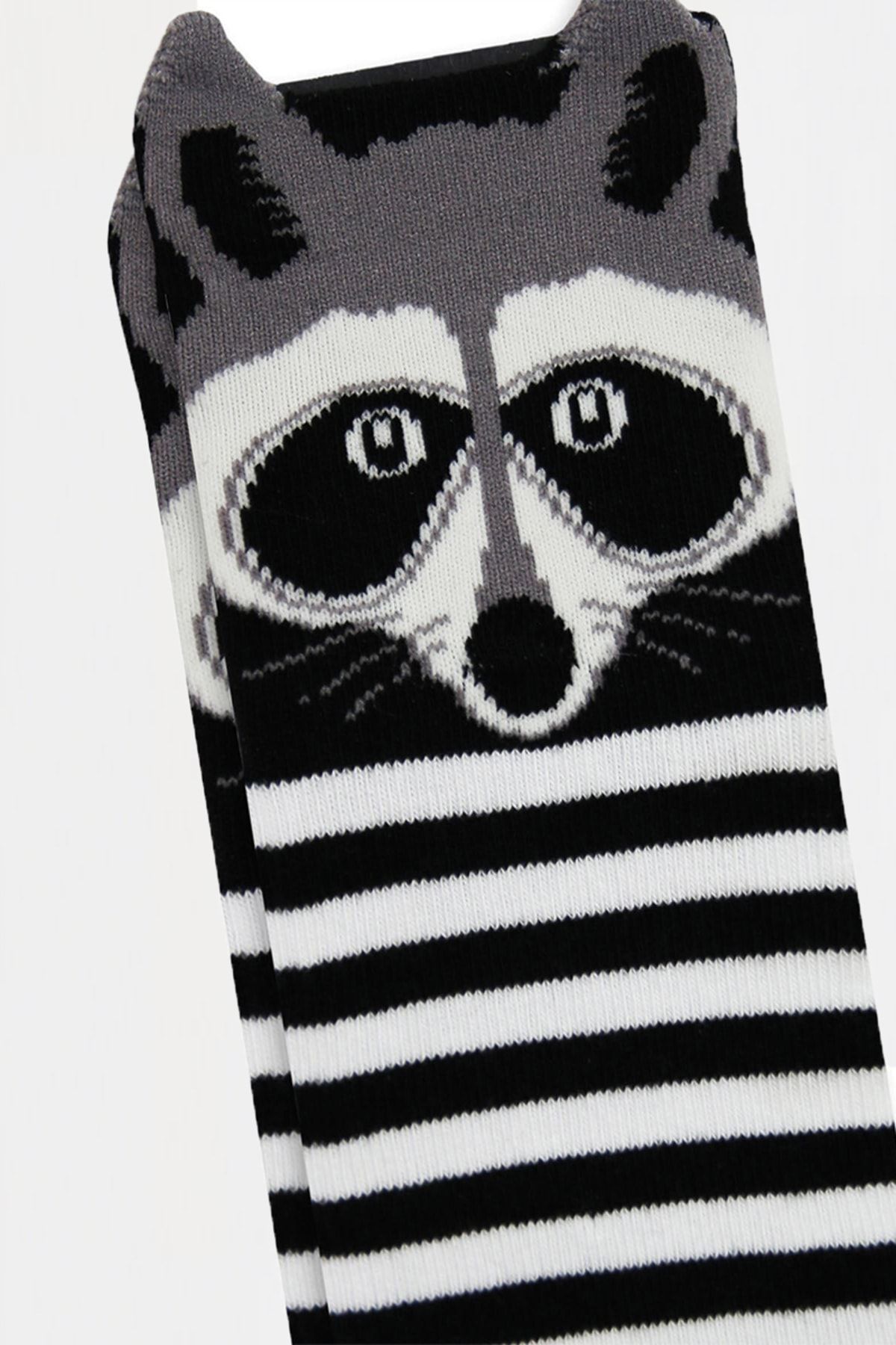 MEM SOCKS-Pack of 6 3D Rakkun Patterned Children's Socks 4