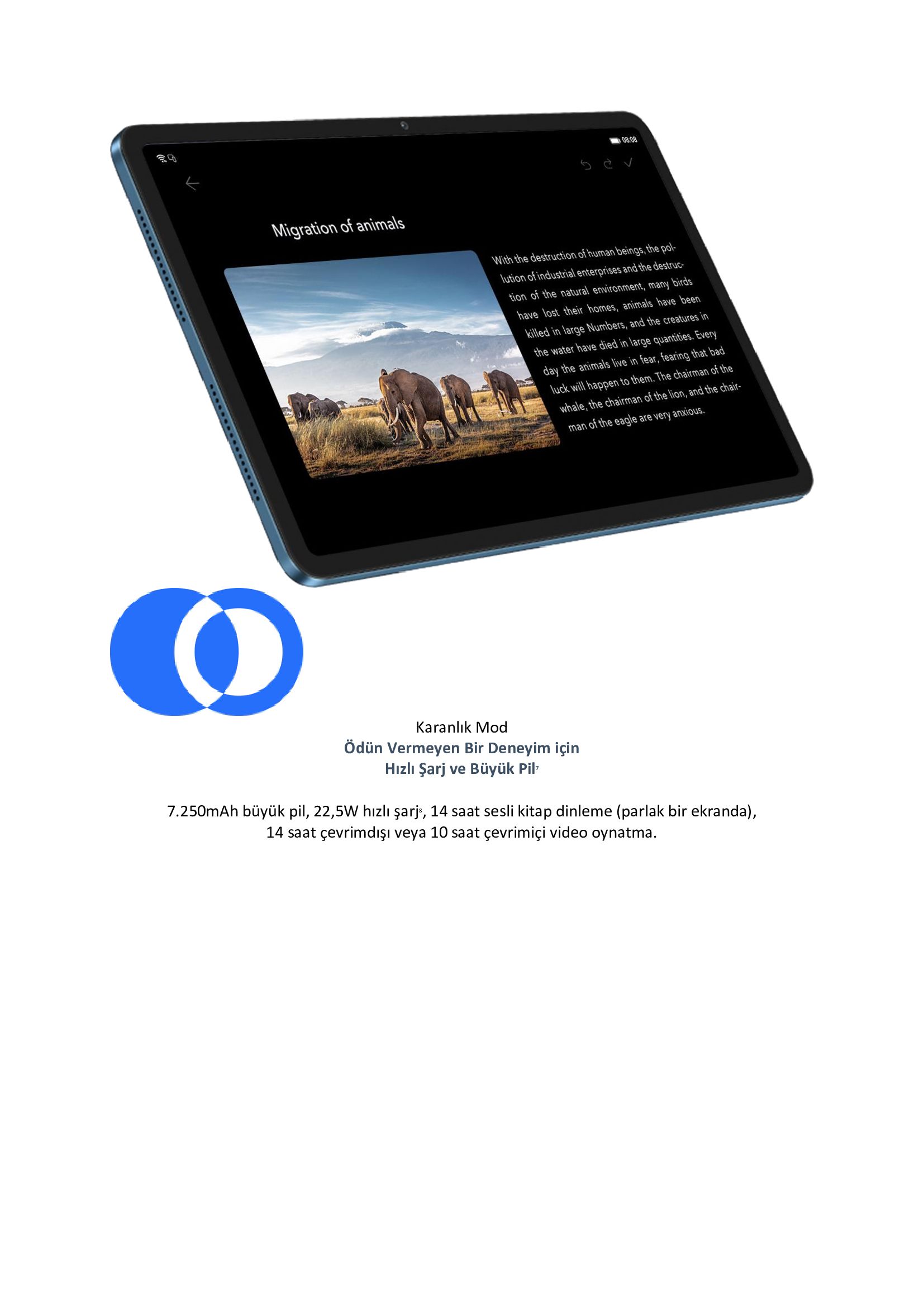 Honor Pad 8 8GB 256GB Wifi 12 Mavi Tablet Fiyatı