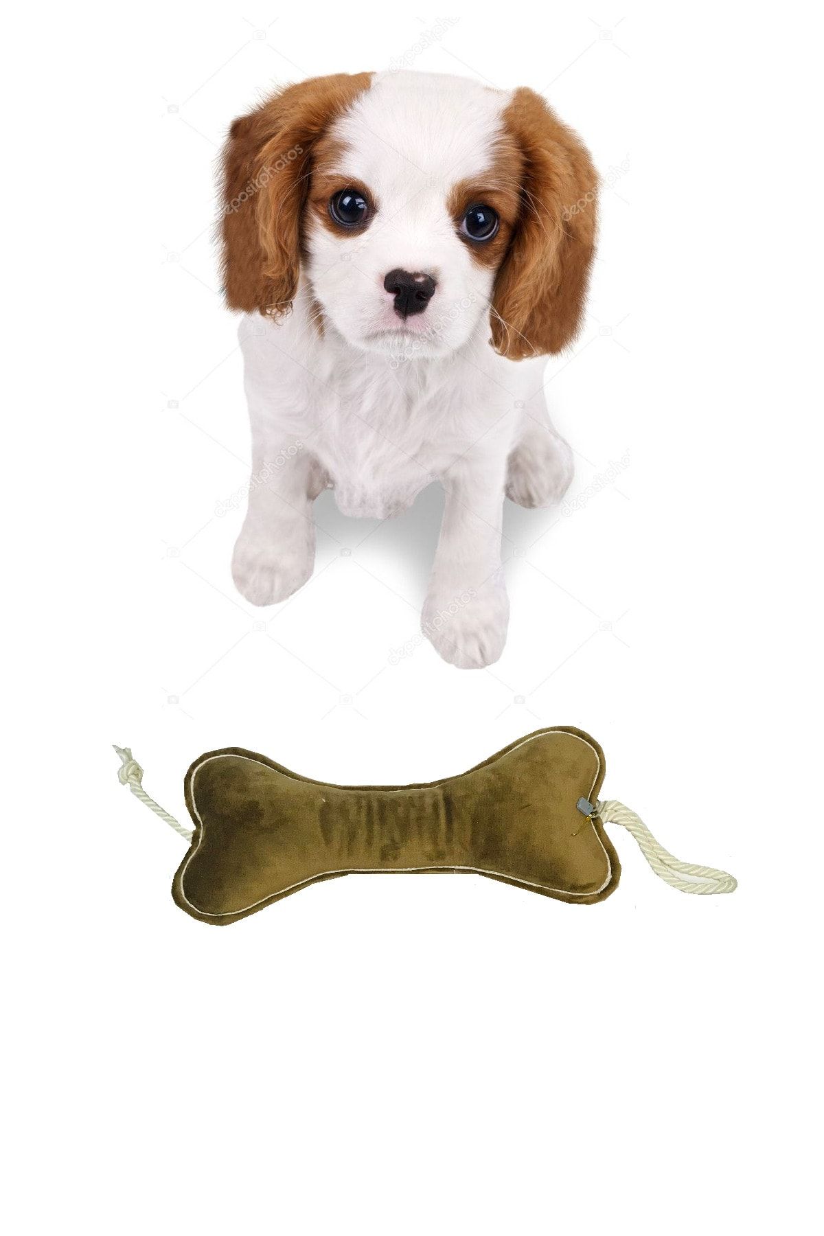 GND PET Dog Toys Multicolor Trendyol