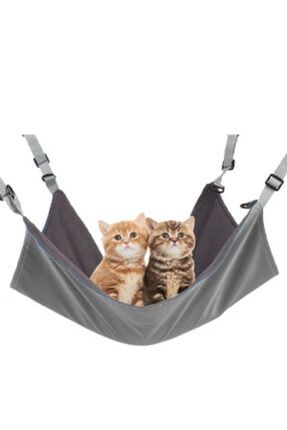 Demsa Polar Kedi Hamagi 40 Cm X 40 Cm Siyah Yikanabilir Trendyol
