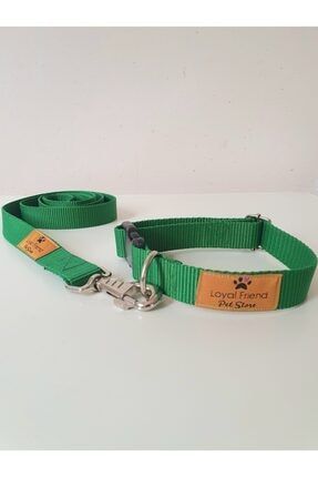 Yeşil Renk Köpek Boyun Tasma Takım Seti (boyun Ölçüsü 40-50 Cm) YRKBTTS4050