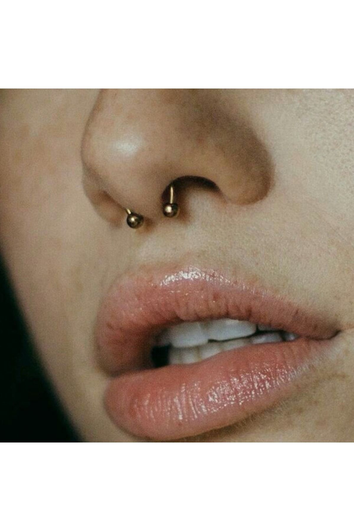 Thin septum sale horseshoe