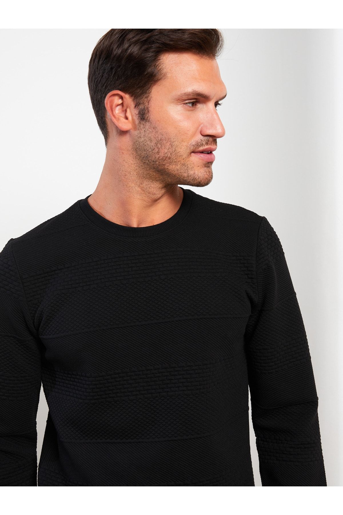 LC Waikiki-Ανδρικό φούτερ - Crew Neck, Μακρυμάνικο 2