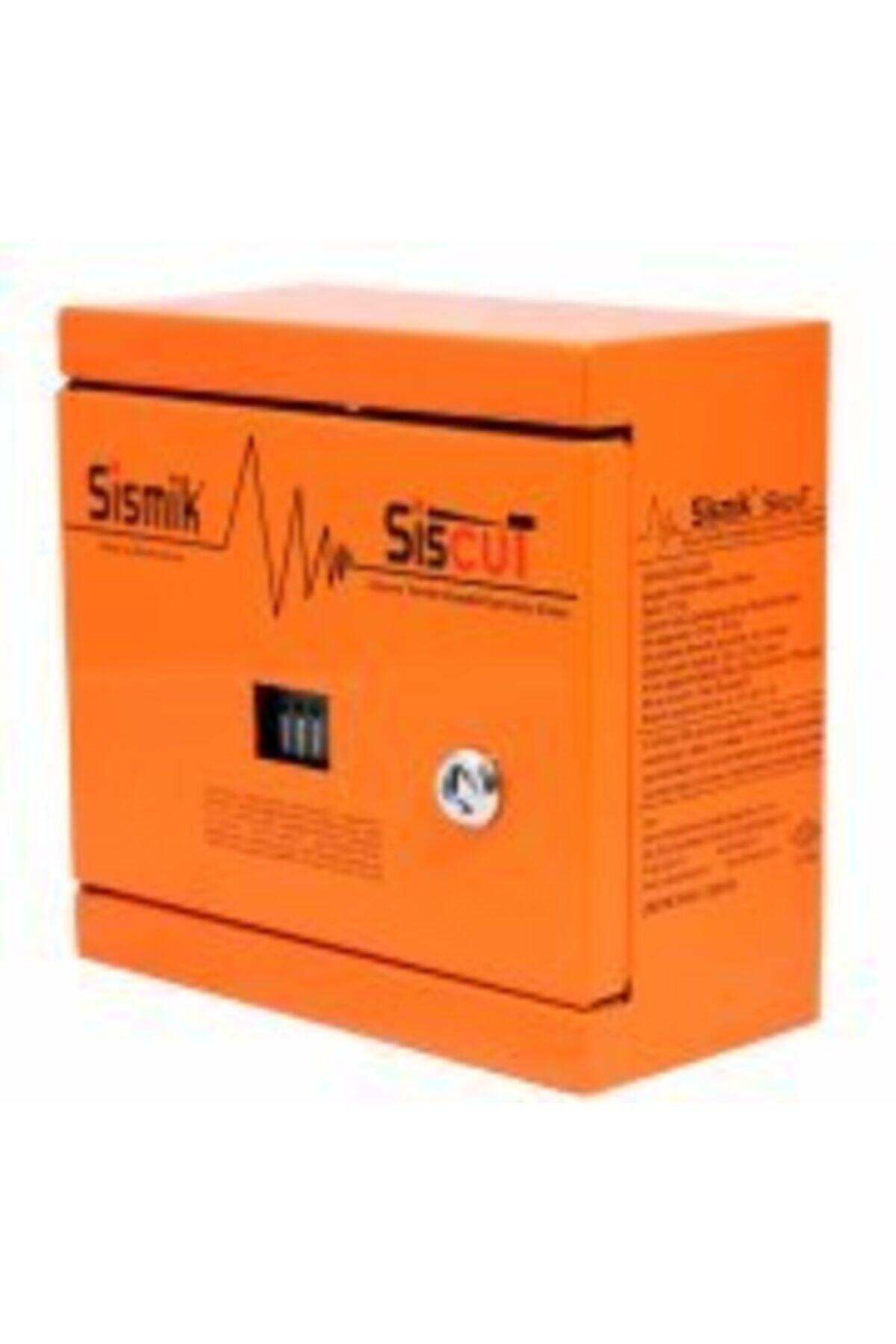 SİSMİK Elektronik Deprem Cihazı Sensörü Siscut Dört Çıkışlı