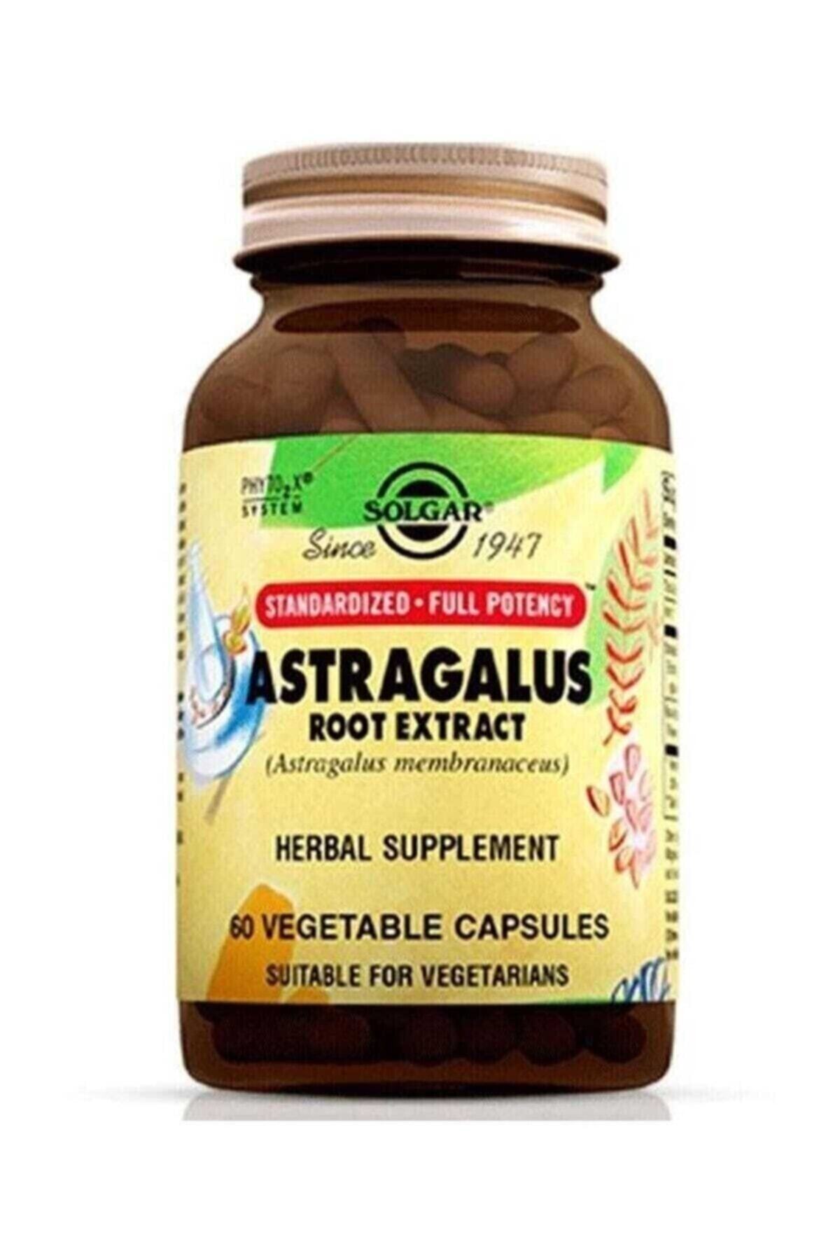 Solgar Astragalus Root Extract 60 Kapsül Fiyatı, Yorumları Trendyol