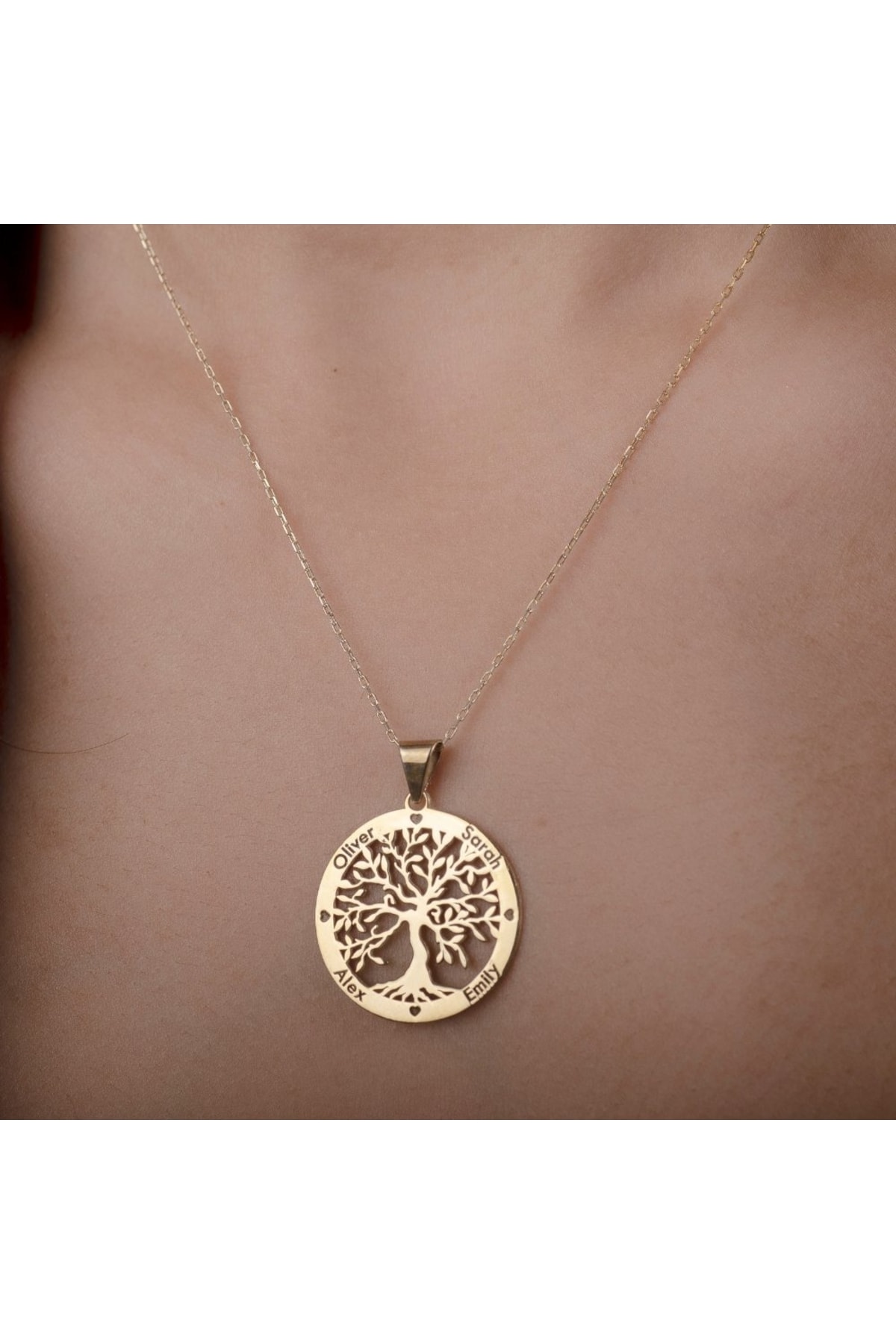 Dkmn Silver Hayat Ağacı Gümüş Kolye Kadın Gümüş Kolye görsel 2