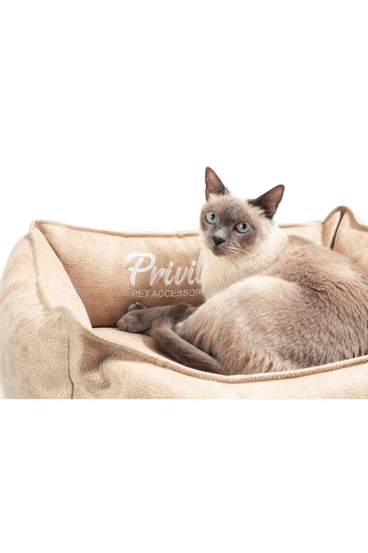 Privilege Premium Visco Kırmızı Kedi Yatağı Medium