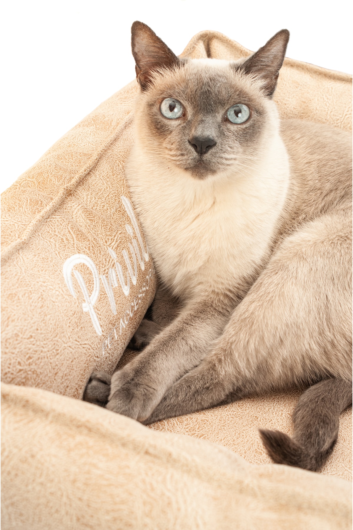 Premium Visco Kedi Yatağı Camel Medium