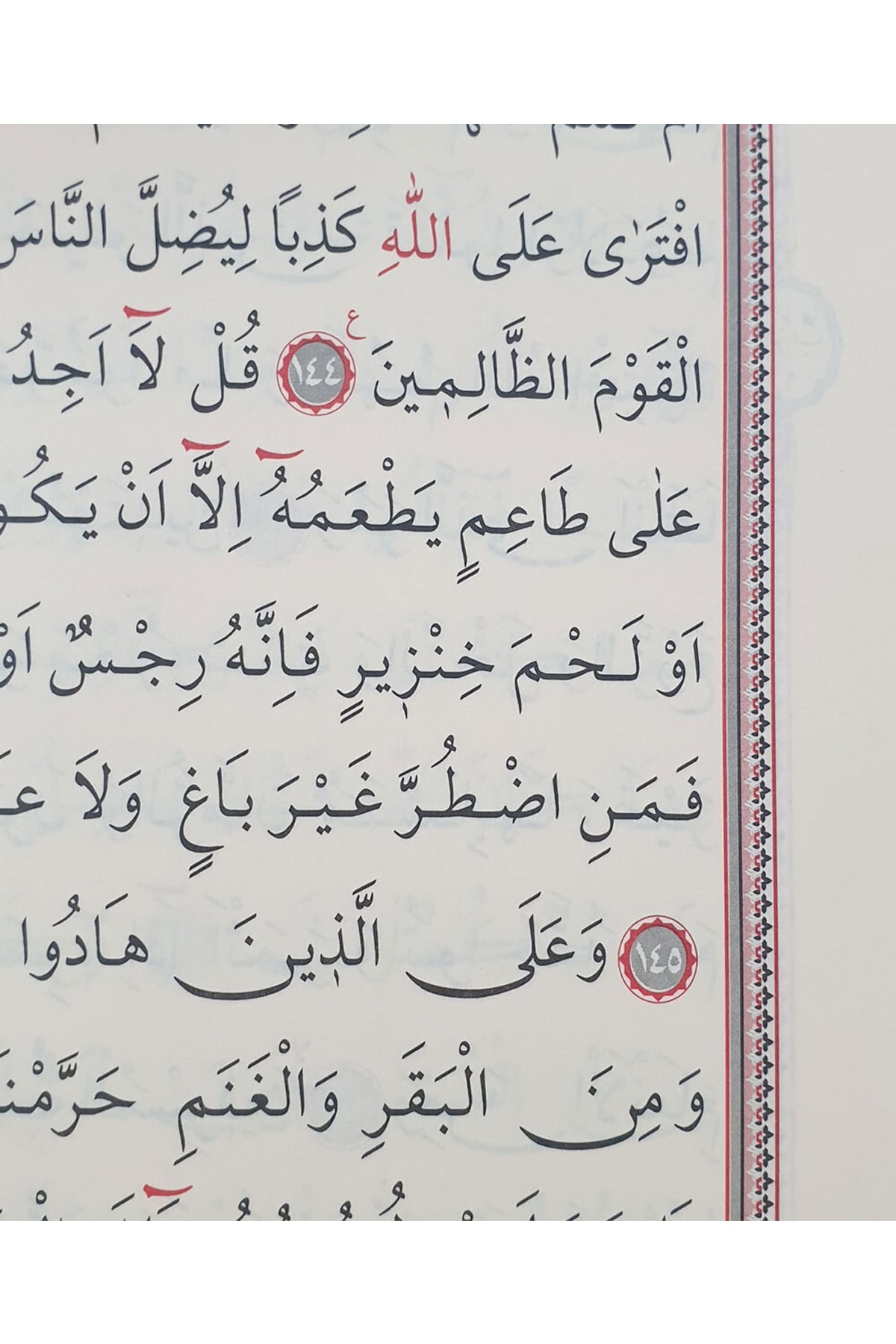 Seda Yayınları Rahle Boy Mavi Kolay Okuslu Bilgisayar Hatlı Sesli Kuran'ı Kerim fotoğrafı 4 (önizleme)