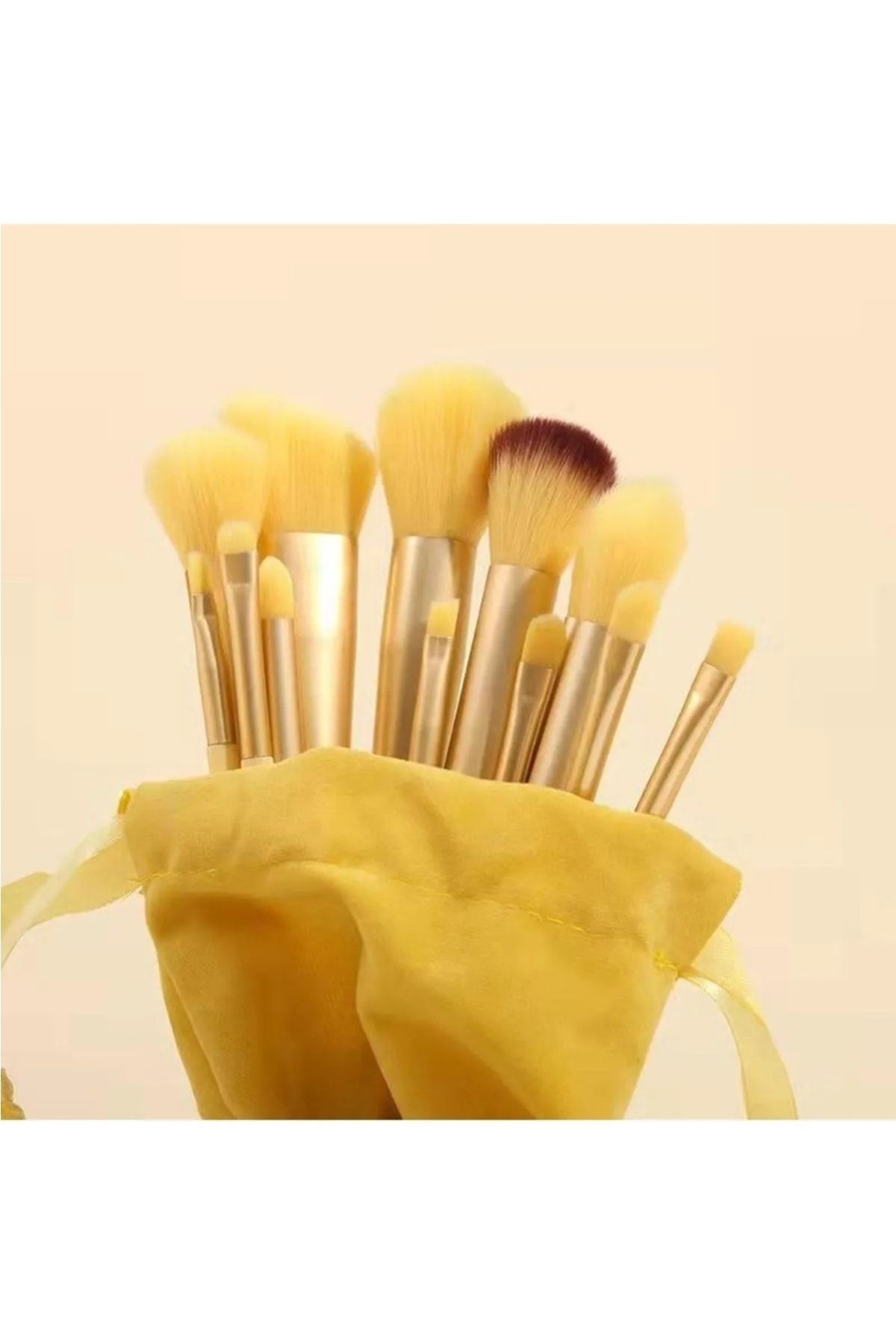 ست برس 13 تکه کیسه مخملی مخصوص فیکس Elzemshop