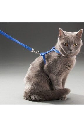 Kedi Tasması Göğüs Tasma Belden Bağlama Yavru Köpek Gezdirme Boyun Bel Desenli Ayarlanabilir PRA-3445791-093783