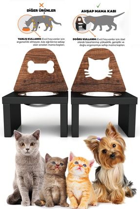 cado pet kedi kopek icin otomatik su pinari 2 lt mavi fiyati yorumlari trendyol