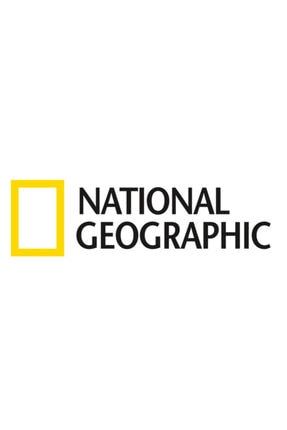 National Geographic Oto Sticker Araba Stickerı 2 Adet - 40 X 12 cm MELK17994012S