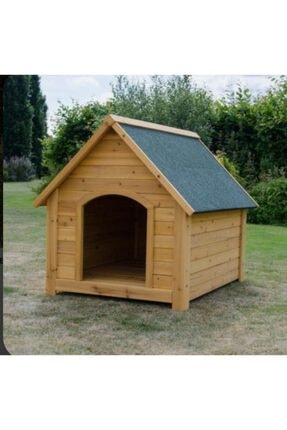 latanwood kopek kulubesi fiyati yorumlari trendyol