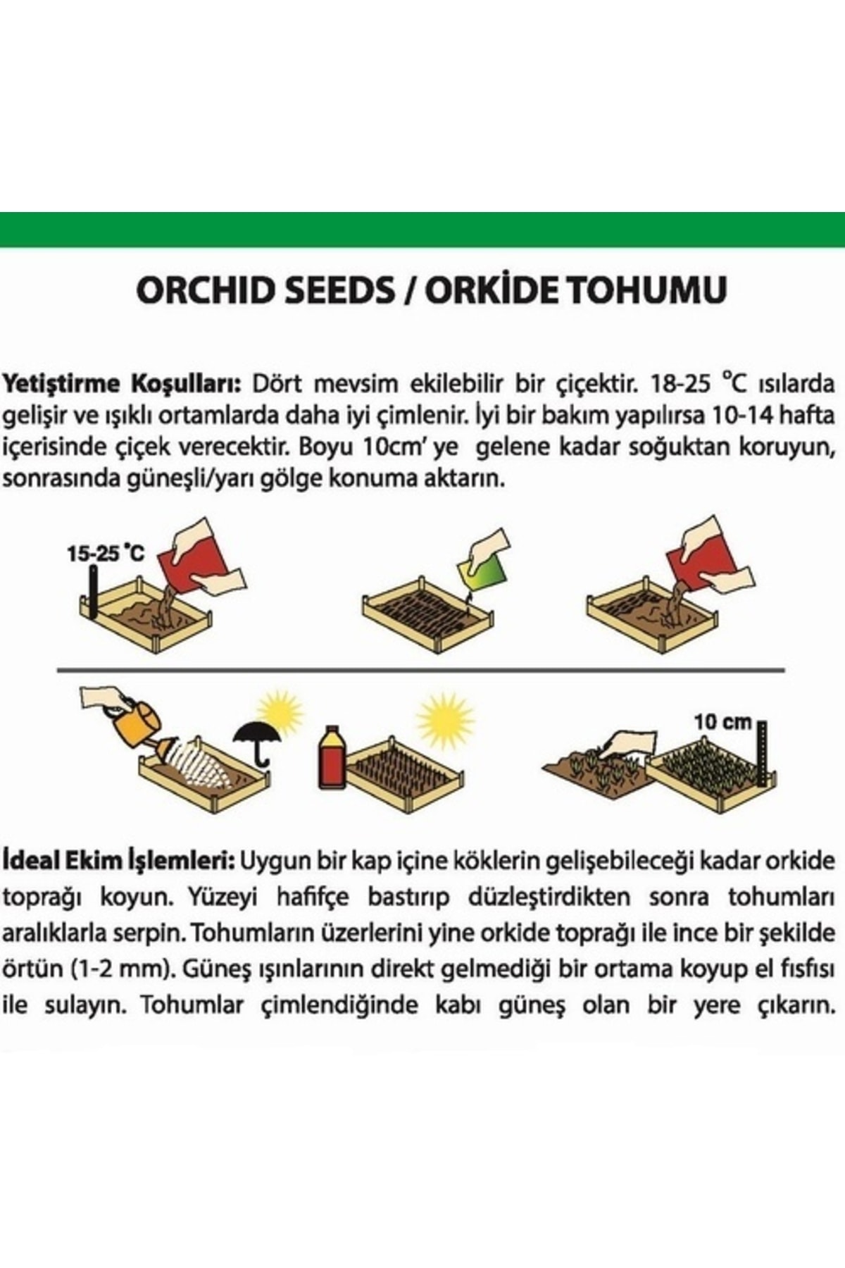 Day 100 Adet 10 Farklı Renk Karışık Orkide Çiçeği Tohumu + 10 Adet Hediye K.renk Lale Çiçek Tohumu