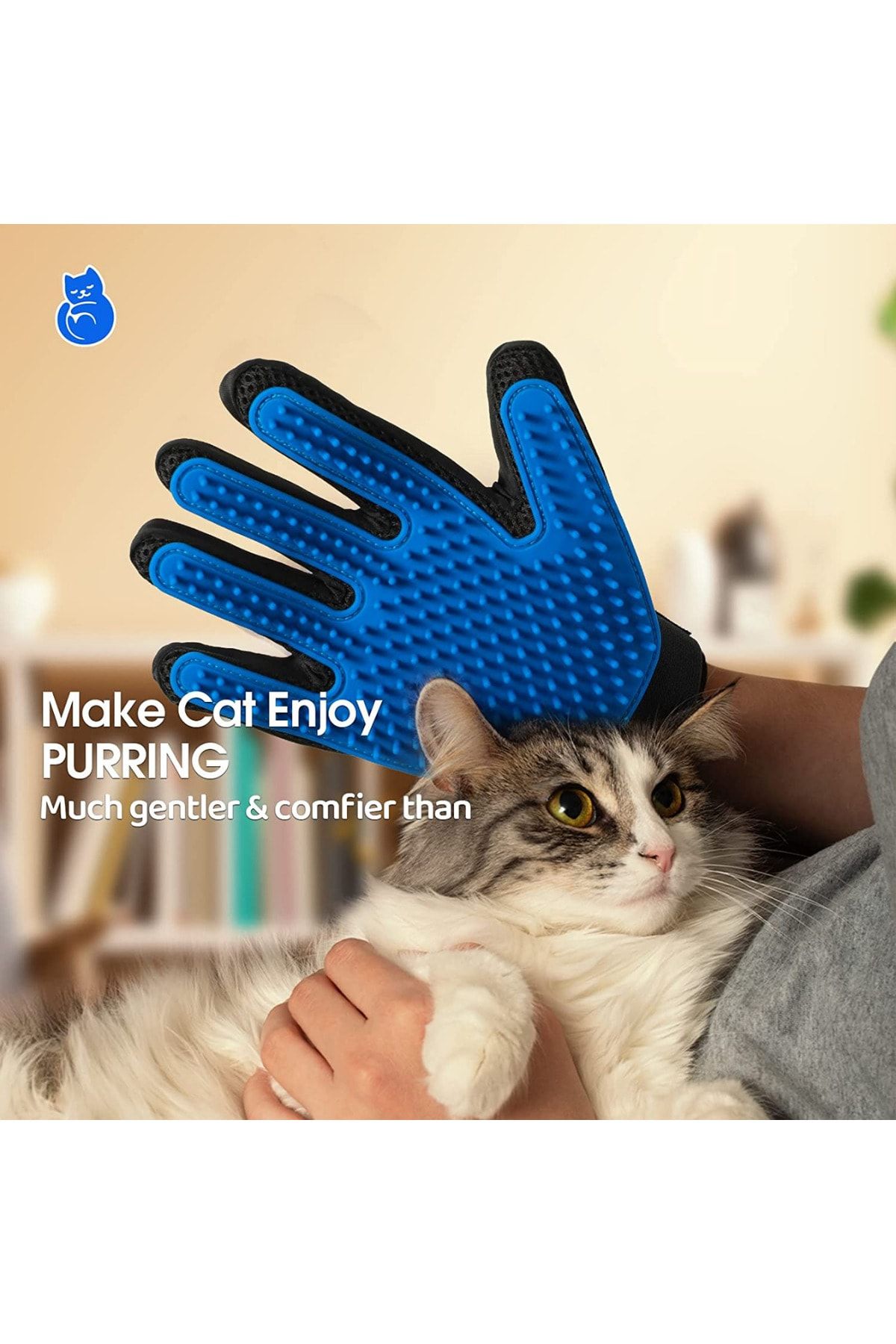 Pet glove online