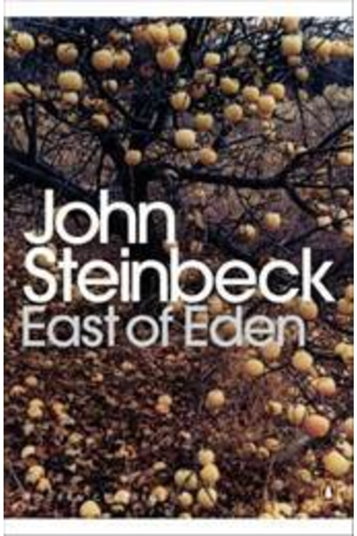 Penguin Books East Of Eden - Fiyatı, Yorumları