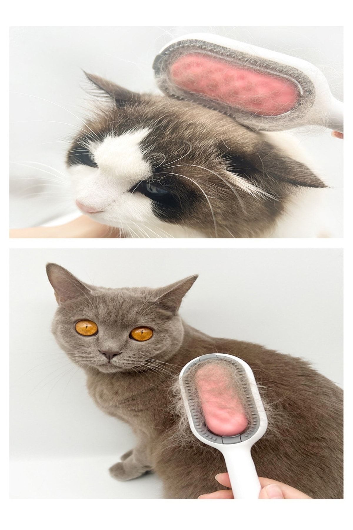 Cat hot sale tongue comb