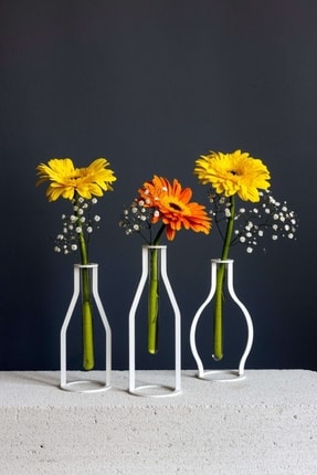 çelik manolyalar 2023 shelby ölür