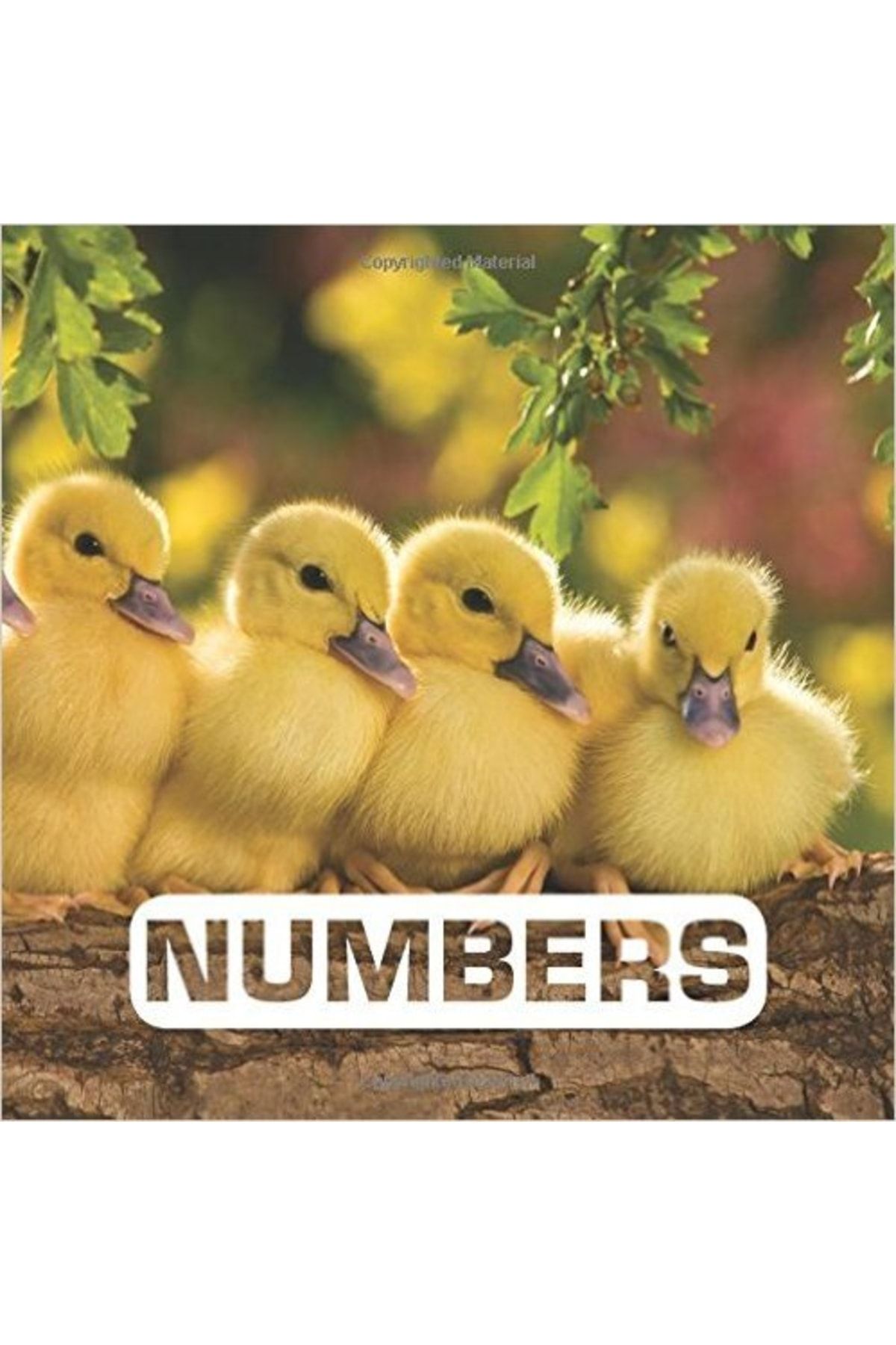 HMH Books-Numbered Set 1