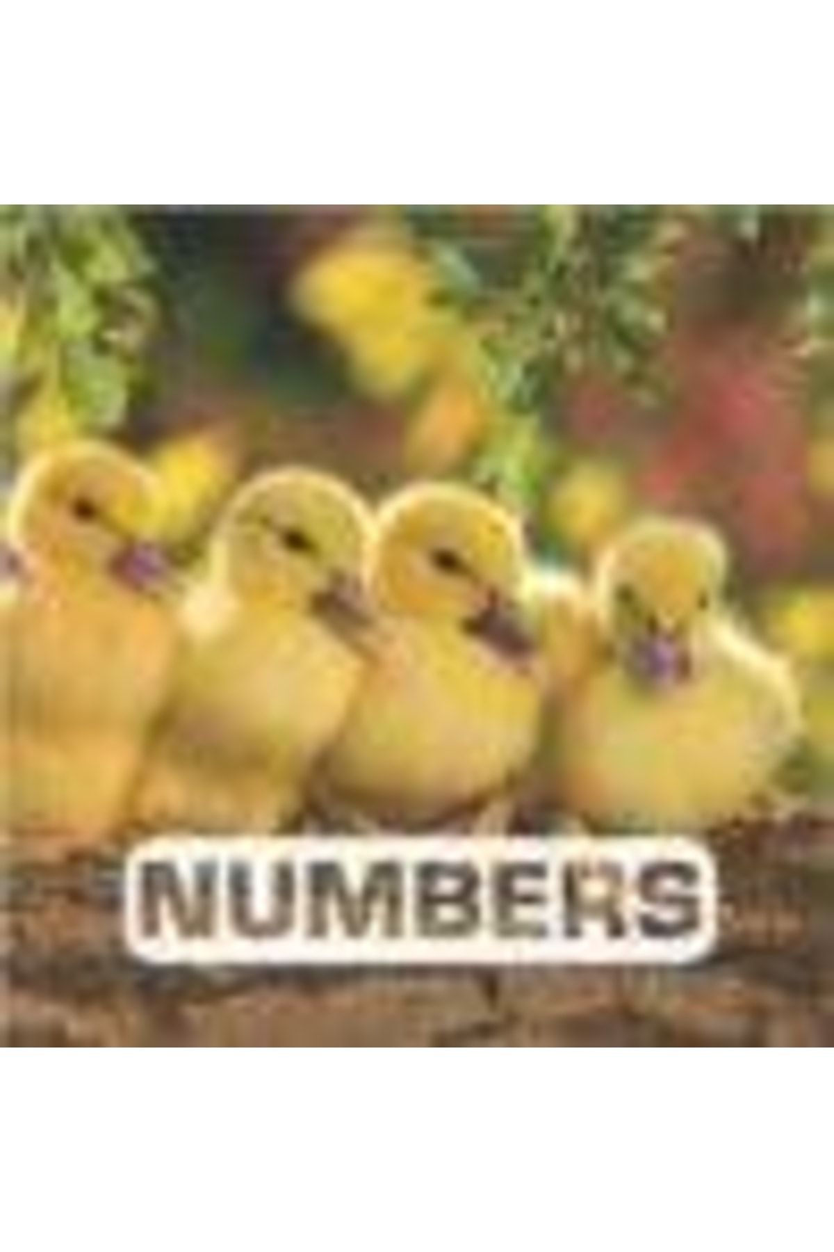 HMH Books-Numbered Set 3
