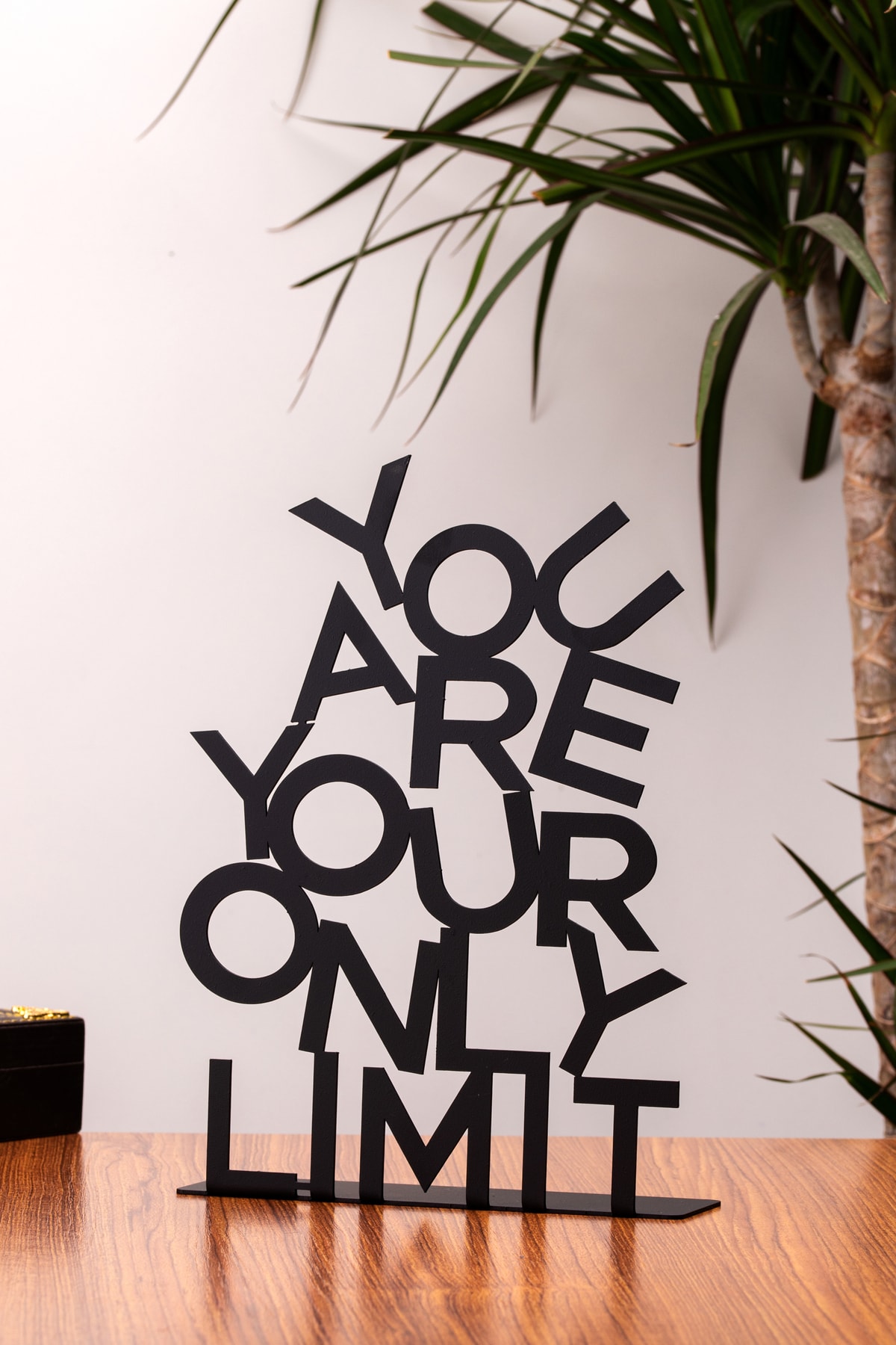 muyika-metal-tabletop-decorative-object-trink