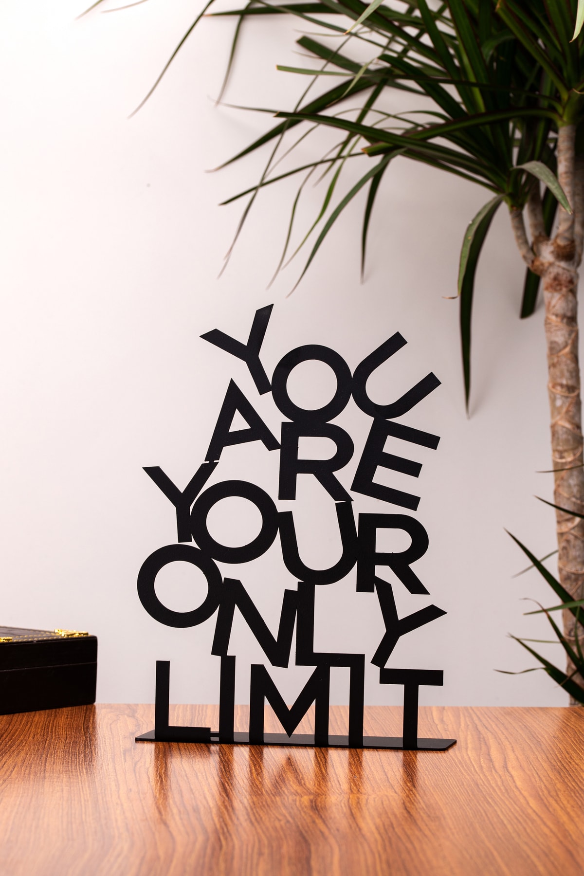 muyika-metal-tabletop-decorative-object-trink