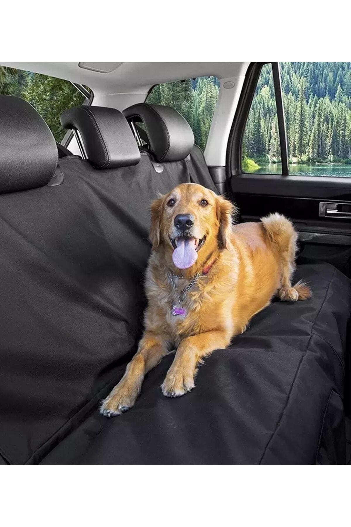 BYENS Araba Koltuk Örtüsü Evcil Hayvan Örtüsü Su Geçirmez Araç Koltuk Kılıfı Oto Koruma Kılıfı Köpek fotoğrafı 2 (önizleme)