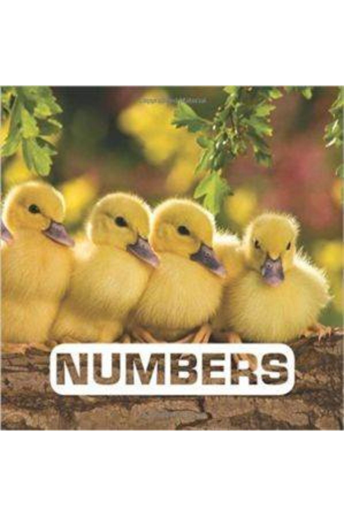 HMH Books-Numbered Set 2