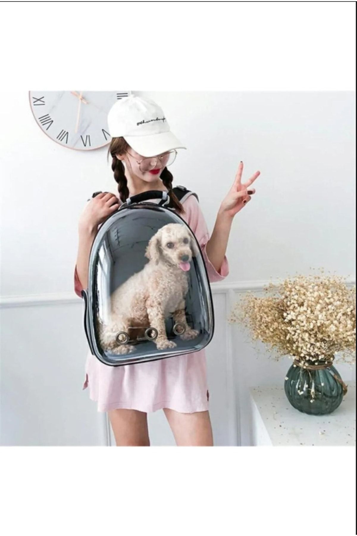 Dog holding bag sale