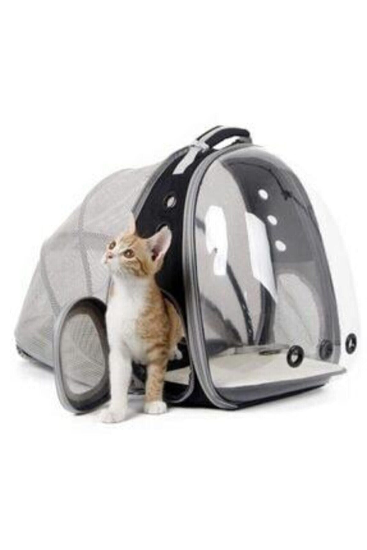 budabenimolsun Mesh Openable Transparent Astronaut Cat Dog Pet