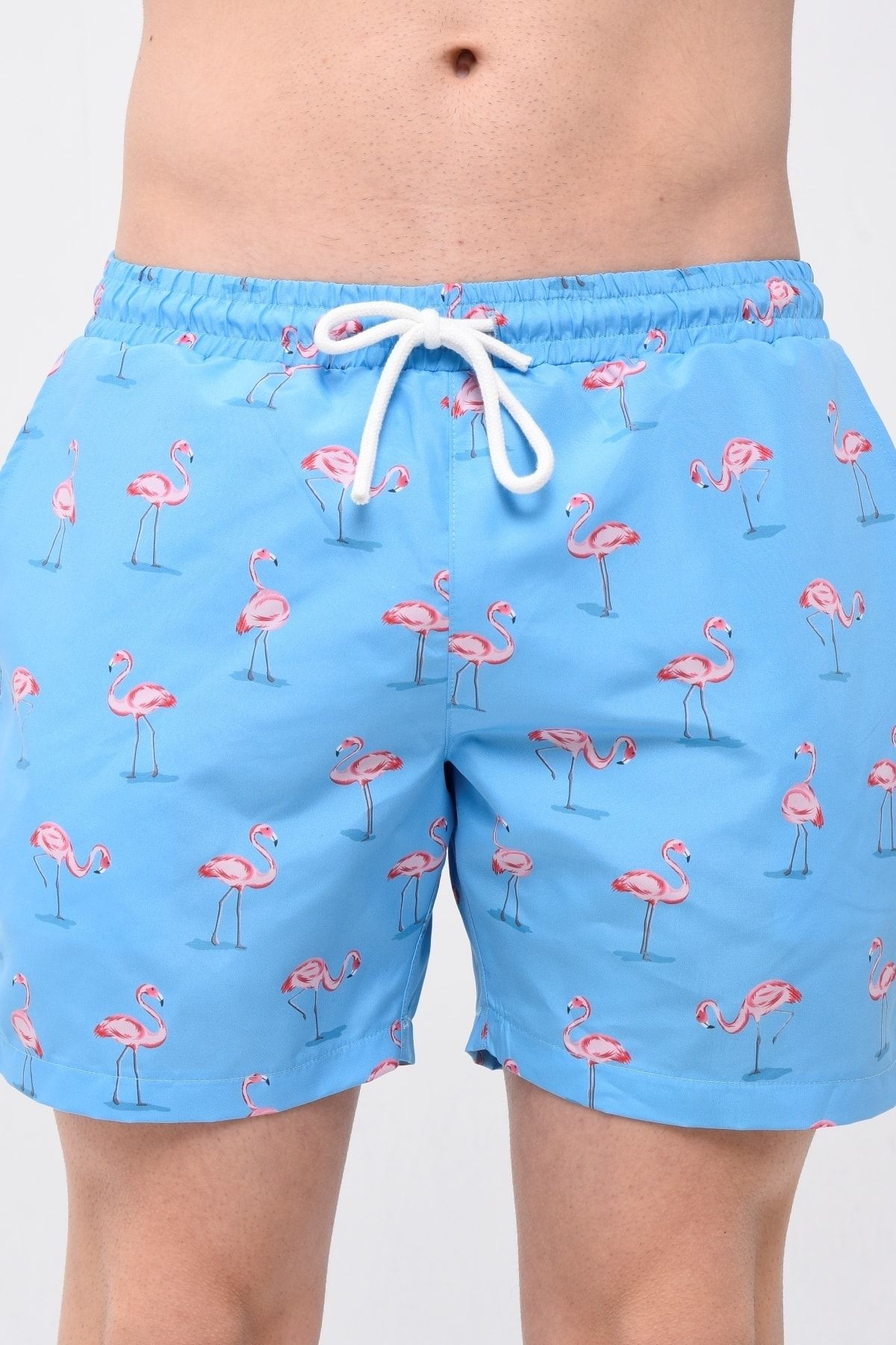 Bolder-David Flamingo Pattern Men's Swim Shorts 4
