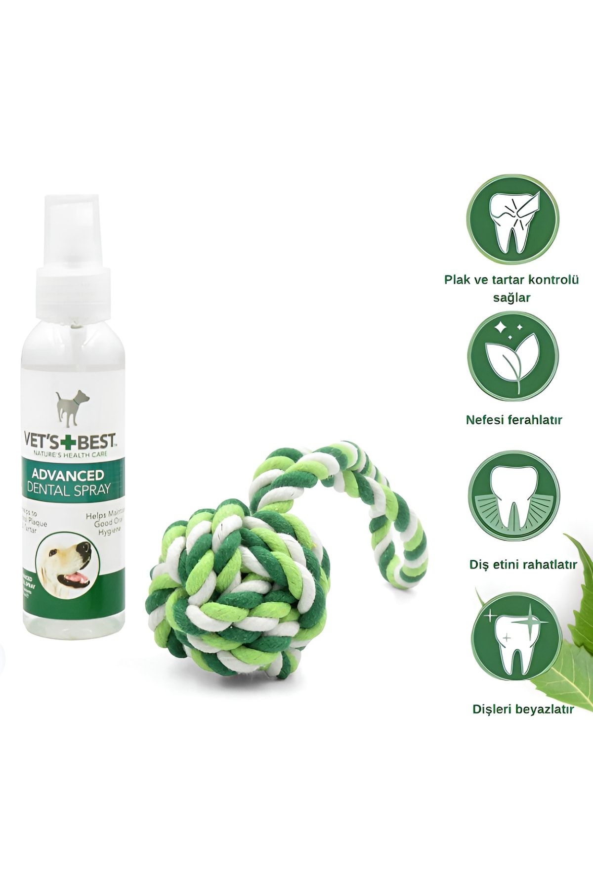Pet dental outlet spray