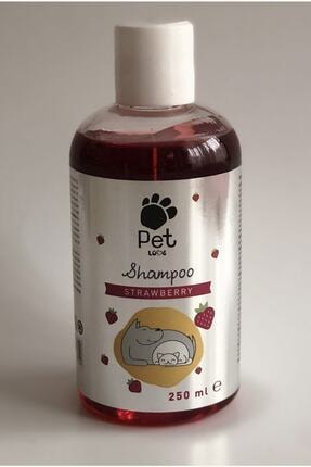 apex kedi temizleme spreyi 750 ml fiyati yorumlari trendyol