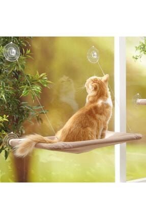 havana cama asilan kedi yatagi minderi yapisan vantuzlu fiyati yorumlari trendyol