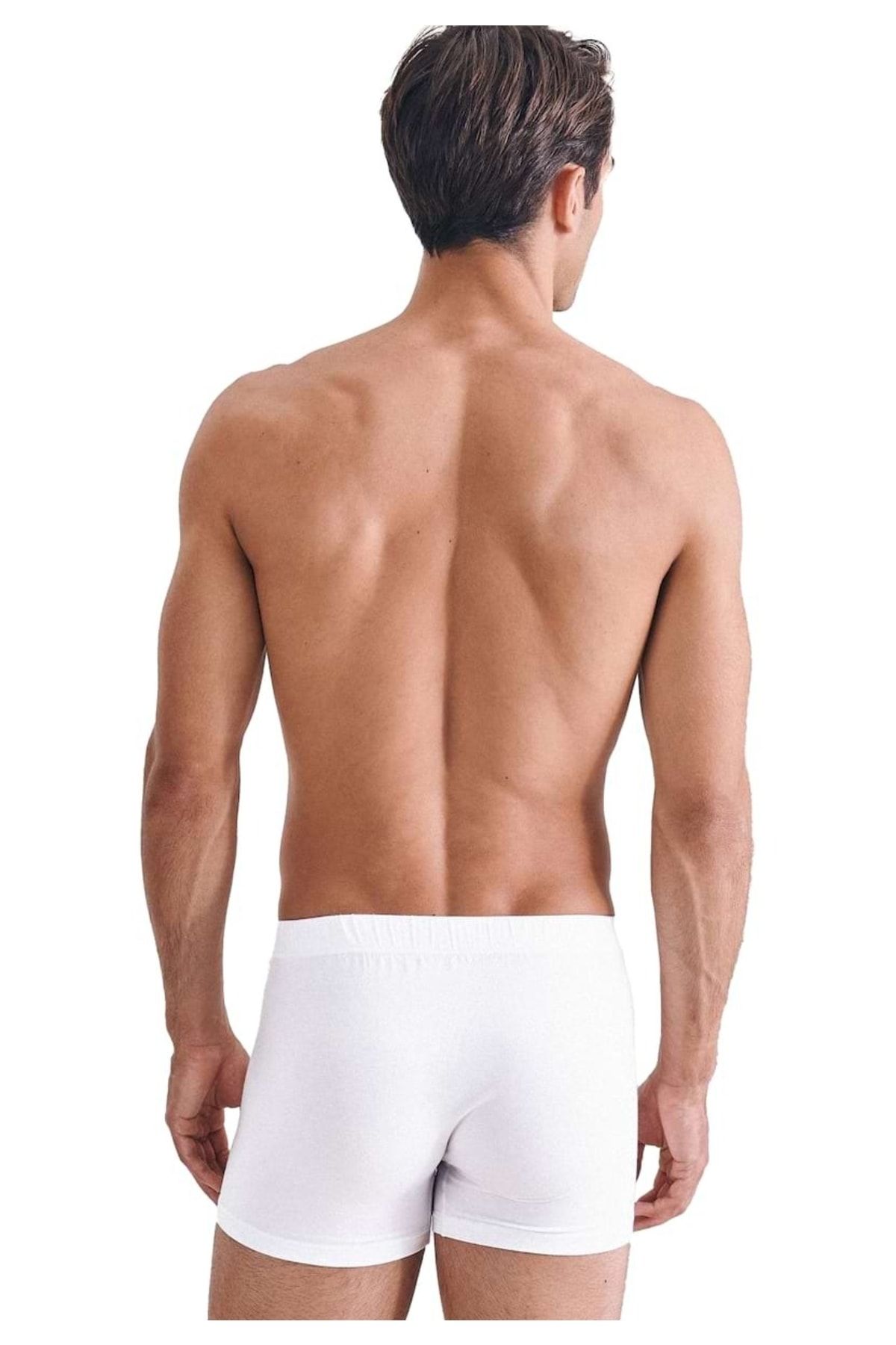 Seidensticker-Herren Boxershorts, 3'lü Paket - Rahat Pamuklu Şort, einfarbig 3