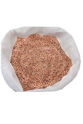 Organik Siyez Buğdayı Kabuksuz 5 kg OSBT005