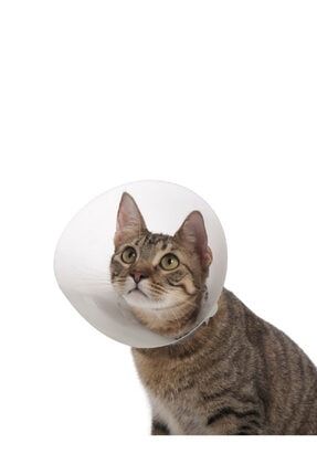 farmena clipnosis kedi sakinlestirme