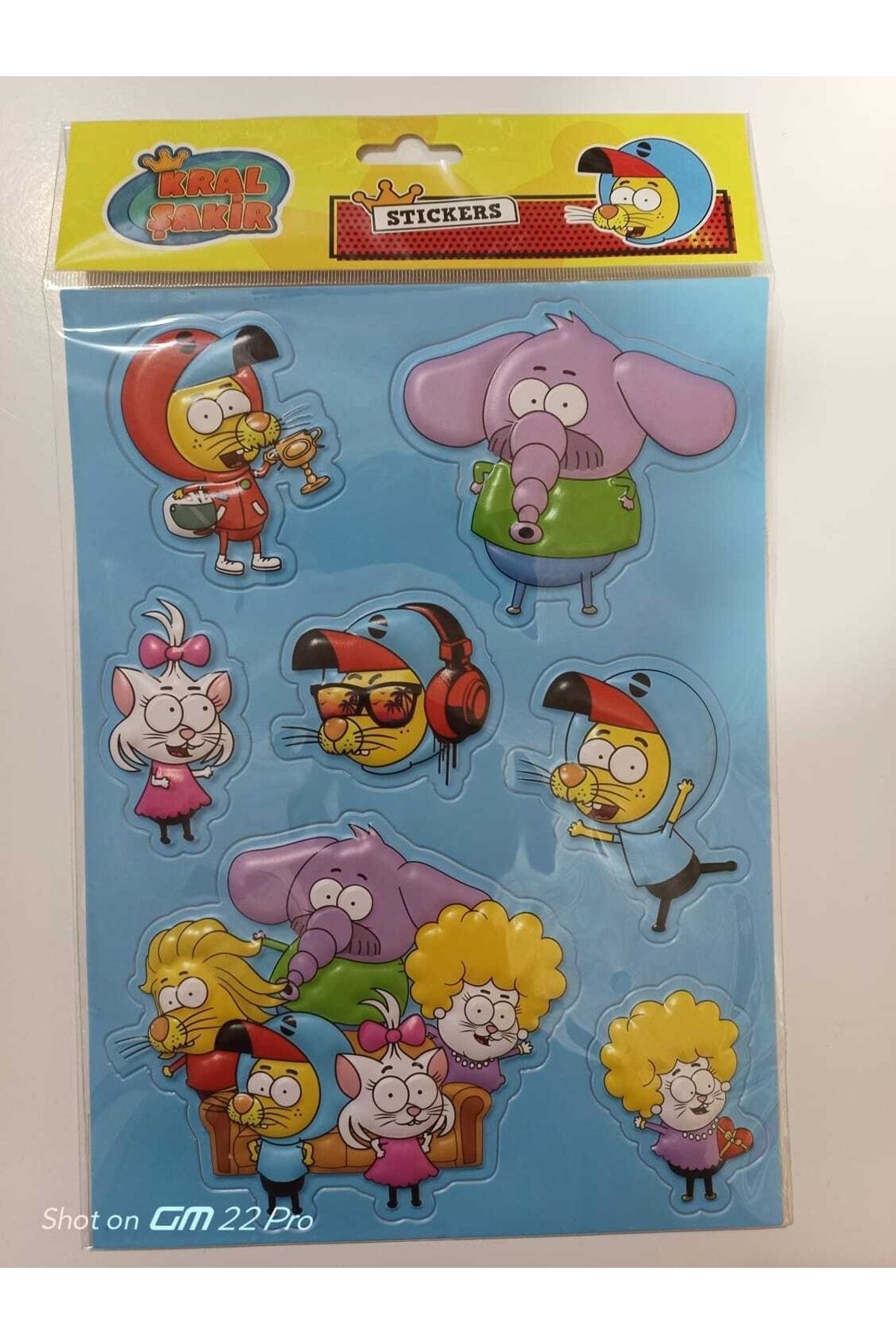 Cem-2Pcs A4 Size Embossed Stickers 4