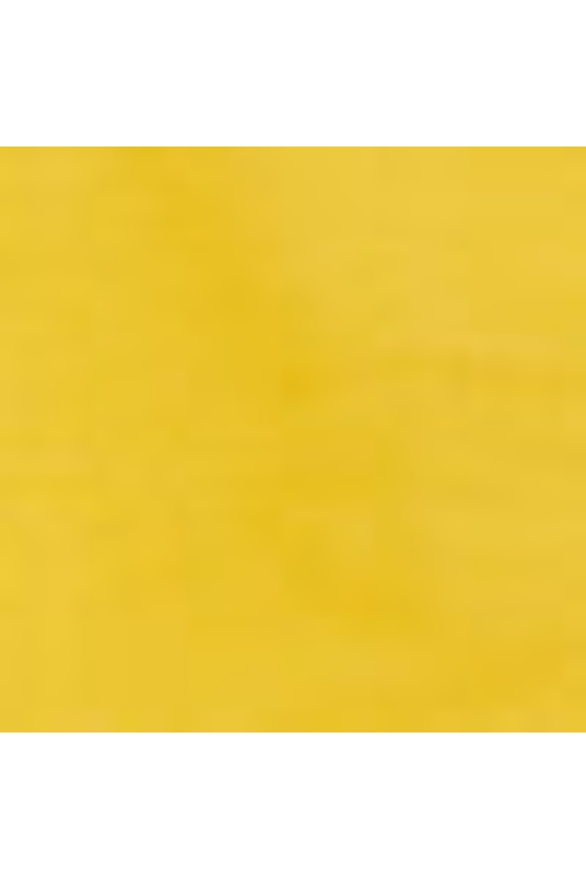 شورت و شلوارک پسرانه زرد ال سی وایکیکیLC Waikiki | S29076Z4FWV اورجینال - تصویر 3