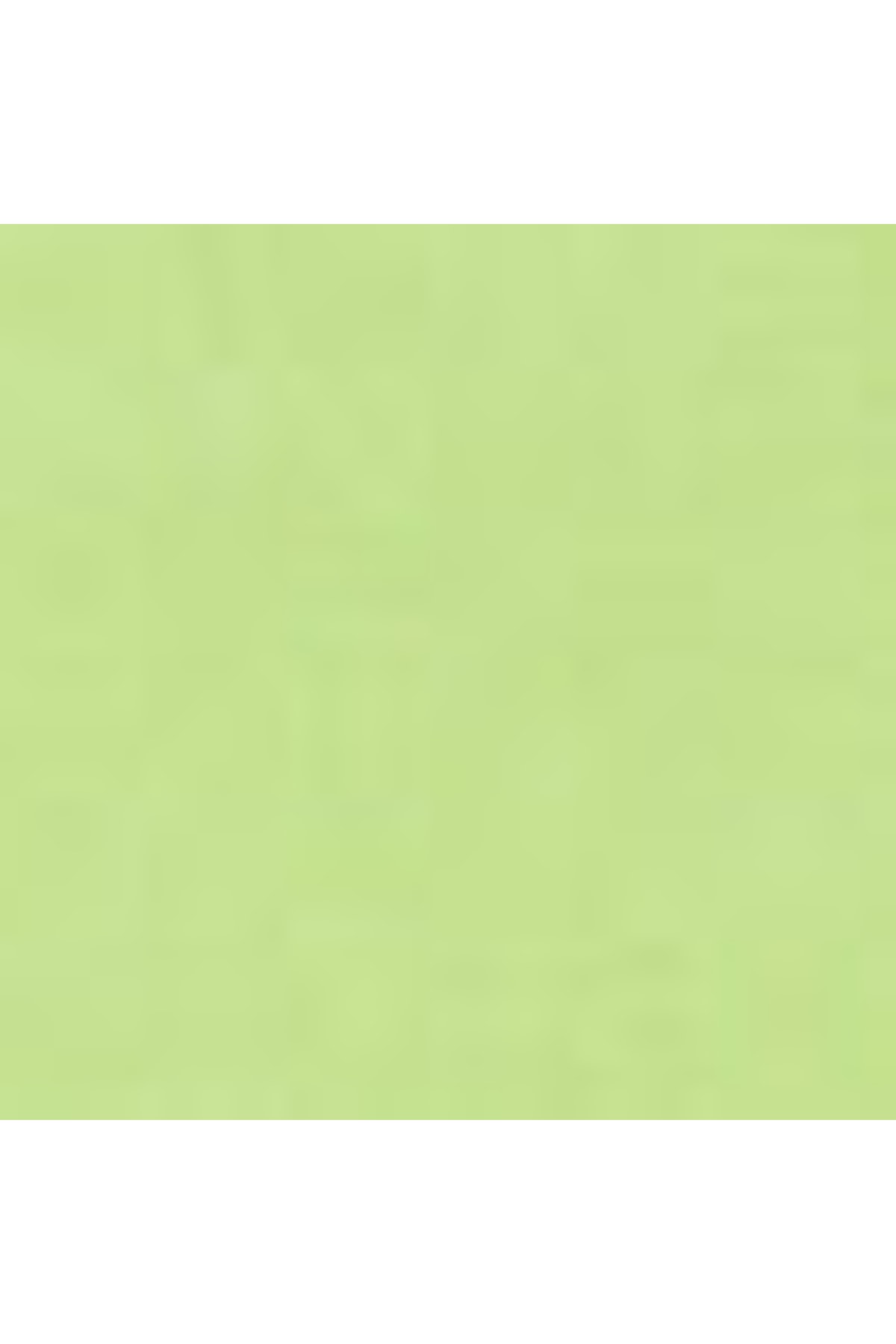 شورت و شلوارک پسرانه سبز ال سی وایکیکیLC Waikiki | S27877Z4FZ1 اورجینال - تصویر 3