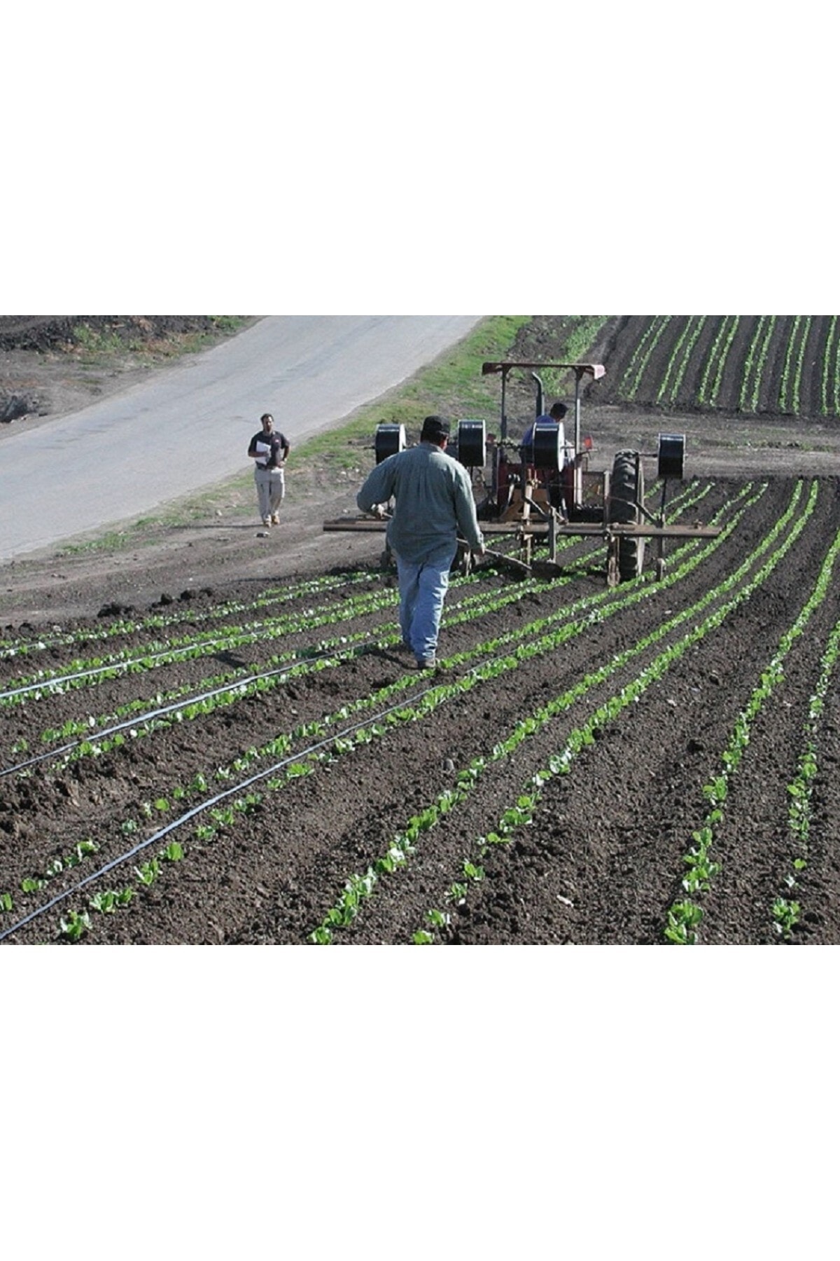 Sabitleme Kazığı 50 Adet Klipsli Damla Sulama Parçası 2