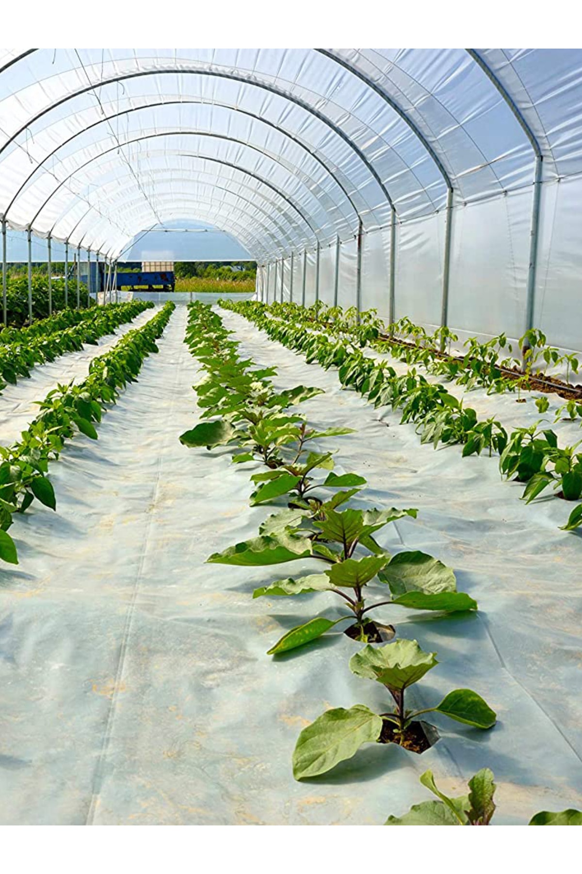 2x3 Metre 140 Mikron Uv + Eva Katkılı Sera Naylonu Sera Örtüsü 1. Kalite Bıranda Şeffaf Branda